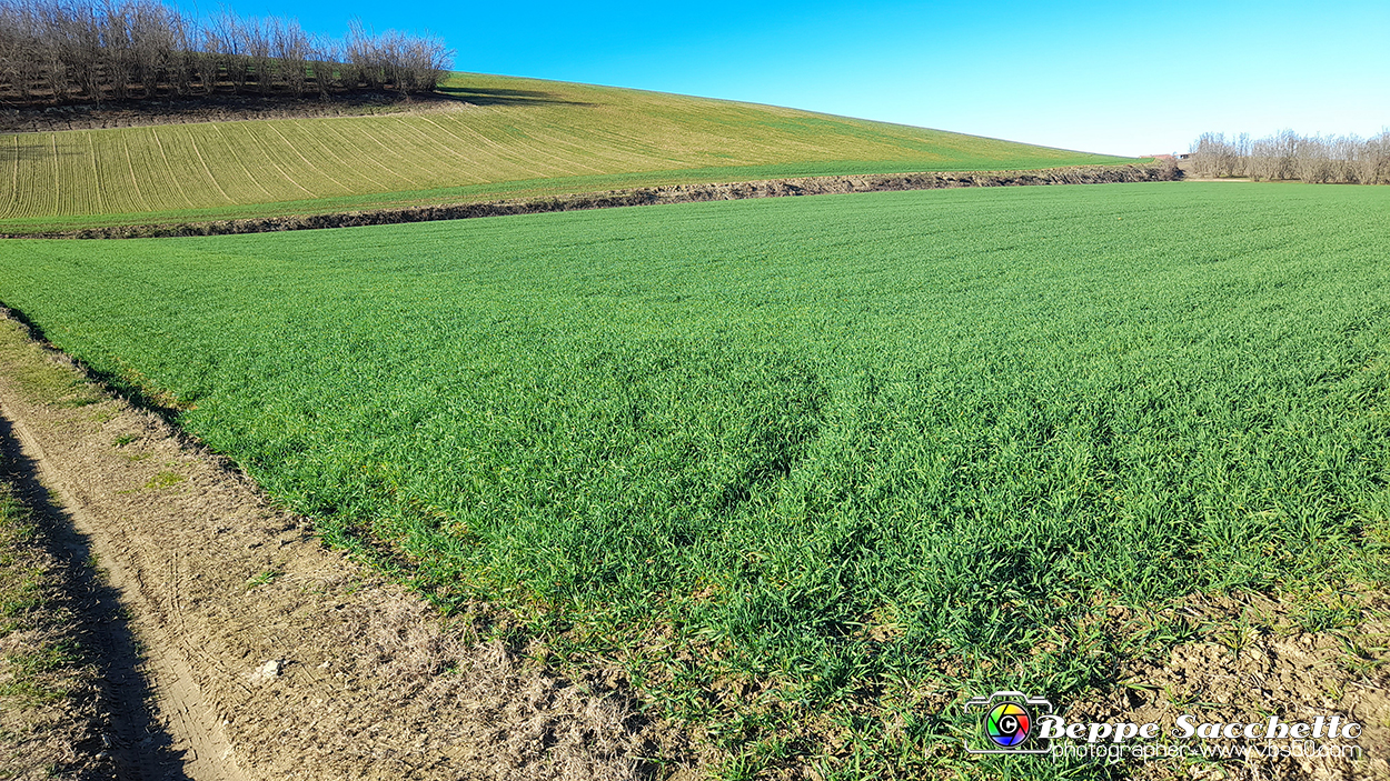 20230110_144357 - Dalla terra... il grano.jpg